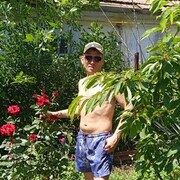 ���������� �����������, ���� ������� ������, 44 ����, ������������ ��� ������, ����� � ���������, c�������� ���������, ���������