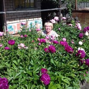 ���������� �����������, ���� ������� �������, 62 ����, ������������ ��� ����� � ���������, c�������� ���������