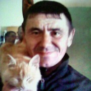  ,   , 53 ,   
