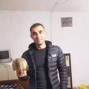 ���������� ������, ���� ������� Samoel, 37 ���, ������������ 