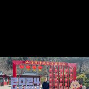 ���������� ���������, ���� ������� ������, 36 ���, ������������ ��� ����� � ���������, c�������� ���������