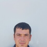  ,  , 51