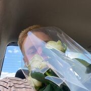 ���������� ������, ���� ����� ����, 23 ����, ������������ ��� ����� � ���������, c�������� ���������, ���������