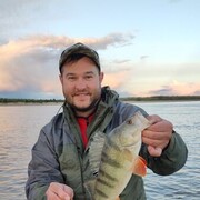 ���������� �����, ���� ������� ������, 36 ���, ������������ ��� ������, ����� � ���������