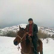 ���������� ��������, ���� ������� Tavakkal, 39 ���, ������������ ��� ������, ����� � ���������, c�������� ���������