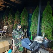 ���������� �����-���������, ���� ������� ���, 29 ���, ������������ ��� ������, ����� � ���������