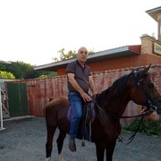 ,   Receb, 55 ,  