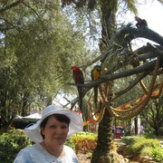  ,   , 62 ,   ,   , c 