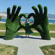 ���������� ������������, ���� ������� ����������, 39 ���, ������������ ��� ������, ����� � ���������, c�������� ���������