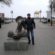  ,   Siroga, 36 ,   ,   , c 