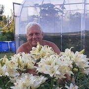   ,   Zheka, 69 ,   ,   