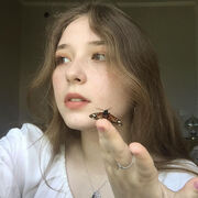  ,   , 21 ,   ,   , 