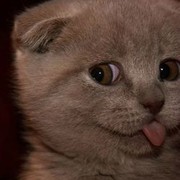 ���������� �������, ���� ������� �����, 35 ���, ������������ ��� ������