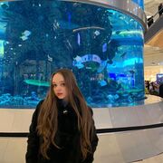 ���������� ������, ���� ������� �������, 20 ���, ������������ ��� ����� � ���������, c�������� ���������, ���������