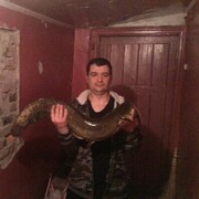 ���������� ������, ���� ������� ��������, 41 ���, ������������ ��� c�������� ���������