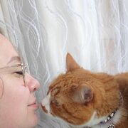 ���������� �������, ���� ������� Ana, 35 ���, ������������ ��� ����� � ���������, c�������� ���������, ���������