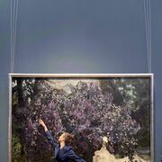 ���������� ������, ���� ������� ��������, 36 ���, ������������ ��� ������, ����� � ���������