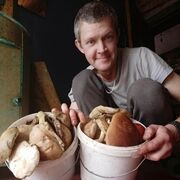 ���������� ������, ���� ������� �������, 37 ���, ������������ ��� ����� � ���������, c�������� ���������, ���������