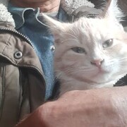 ���������� ������, ���� ������� ���, 64 ����, ������������ ��� ������, ����� � ���������