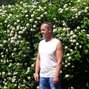  ,   , 58 ,   