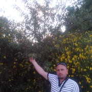  ,   , 40 ,   ,   , c 