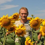 ���������� ������, ������� �����, 56