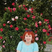 ���������� �������, ���� ������� ��������, 48 ���, ������������ ��� ����� � ���������, c�������� ���������