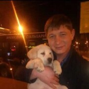 ���������� ������, ���� ������� ���������, 41 ���, ������������ ��� c�������� ���������