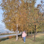 ���������� ������, ���� ������� ������, 51 ���, ������������ ��� ������, ����� � ���������, c�������� ���������