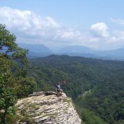 ���������� ����, ���� ������� ���������, 34 ����, ������������ ��� ������, ����� � ���������, c�������� ���������