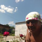  ,   Naif, 64 ,   ,   , 