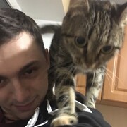 ���������� ��������-������������, ������� ������, 29