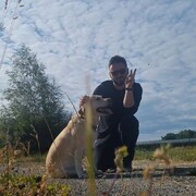 -,   , 36 ,   ,   
