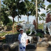  ,   , 62 ,   ,   , c 