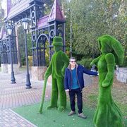 ���������� ������������, ���� ������� ����, 37 ���, ������������ ��� c�������� ���������