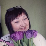 ,   Gerbera, 51 ,   ,   , c 