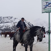 ���������� �������, ���� ������� ������, 38 ���, ������������ ��� ������, ����� � ���������, c�������� ���������