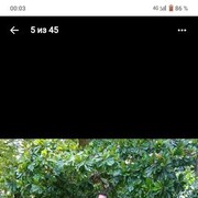  ,   , 33 ,   ,   , 