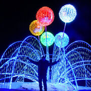 ���������� �������, ���� ������� ���������, 38 ���, ������������ ��� ����� � ���������, c�������� ���������