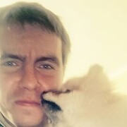 ���������� �����, ���� ������� ���������, 37 ���, ������������ ��� ����� � ���������, c�������� ���������