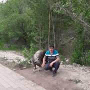 ���������� ����������, ������� �������, 41