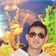 ���������� ������, ���� ������� Shabbir, 36 ���, ������������ ��� ������, ����� � ���������, c�������� ���������