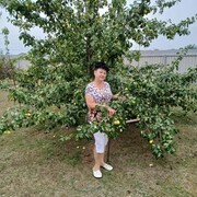  ,   , 63 ,   c 