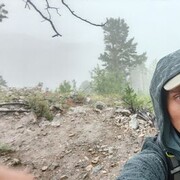 -,   , 38 ,   ,   