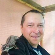  ,   , 41 ,   ,   