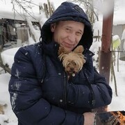 ���������� �����-���������, ���� ������� �����, 43 ����, ������������ ��� ����� � ���������, c�������� ���������