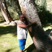 ���������� ����������, ������� ������, 53