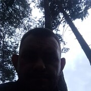 ���������� ������������, ���� ������� ����, 43 ����, ������������ ��� ������, ����� � ���������, c�������� ���������