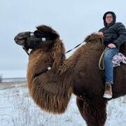 ���������� ������, ���� ������� ����, 48 ���, ������������ ��� ������, ����� � ���������, ���������