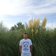  ,   , 43 ,     , c , 